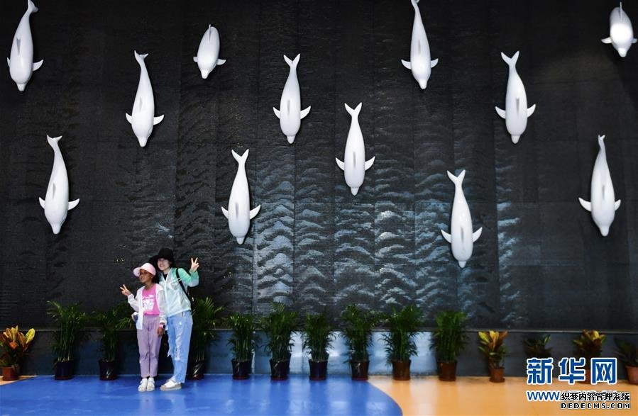 罗村复印机出租世界海拔最高的大型综合海洋馆在高原古城西宁