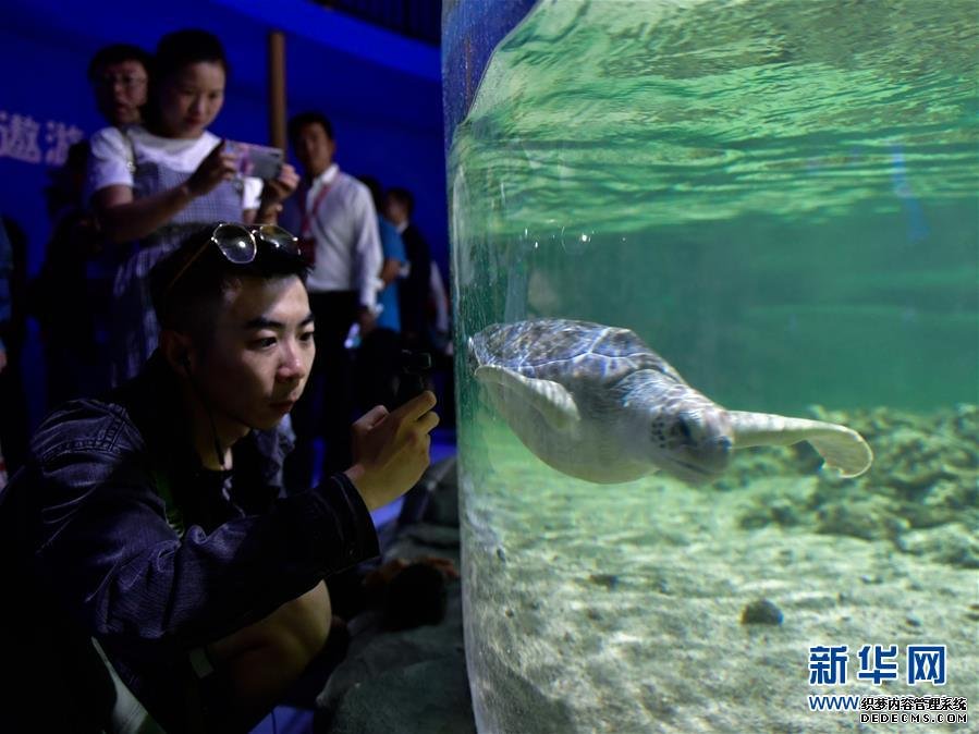 罗村复印机出租世界海拔最高的大型综合海洋馆在高原古城西宁