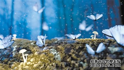 狮山复印机出租幻觉是怎么产生的?没人能说清