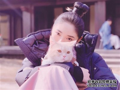 罗村复印机出租宠物演员参演剧集,绝不是走过场