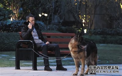 罗村复印机出租宠物演员参演剧集,绝不是走过场