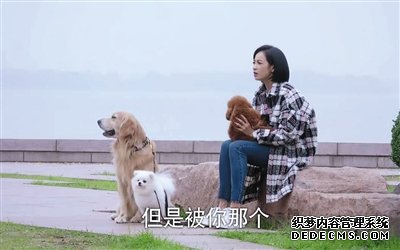 罗村复印机出租宠物演员参演剧集,绝不是走过场