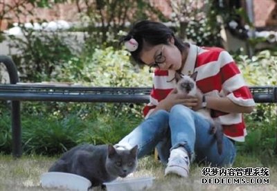 罗村复印机出租宠物演员参演剧集,绝不是走过场